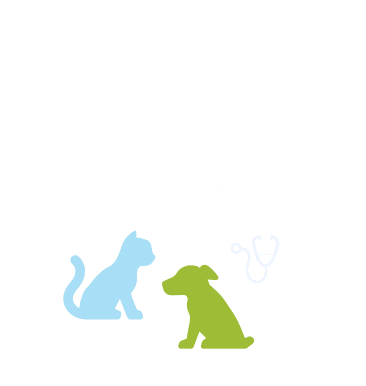 一年目で経験できる診察件数