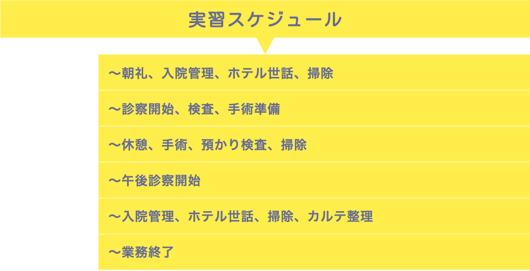 実習スケジュール 8:30～朝礼、入院管理、ホテル世話、掃除 9:00～診察開始、検査、手術準備 13:00～休憩、手術、預かり検査、掃除 15:00～午後診察開始 18:00～入院管理、ホテル世話、掃除、カルテ整理 19:00〜業務終了