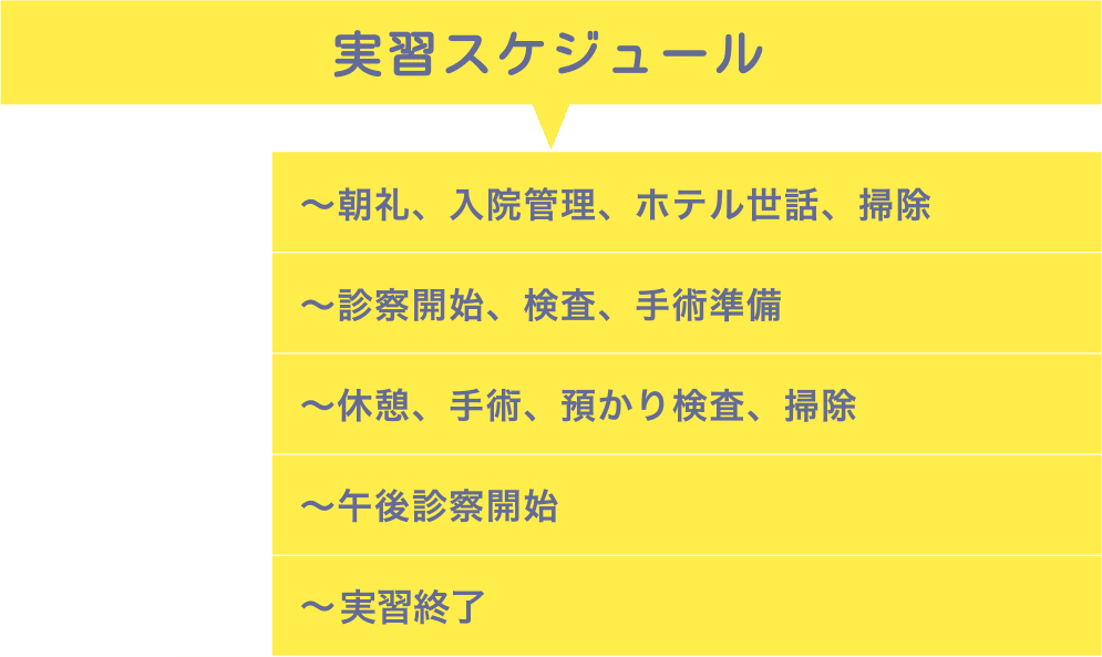 実習スケジュール 8:30～朝礼、入院管理、ホテル世話、掃除 9:00～診察開始、検査、手術準備 13:00～休憩、手術、預かり検査、掃除 15:00～午後診察開始 17:00～実習終了